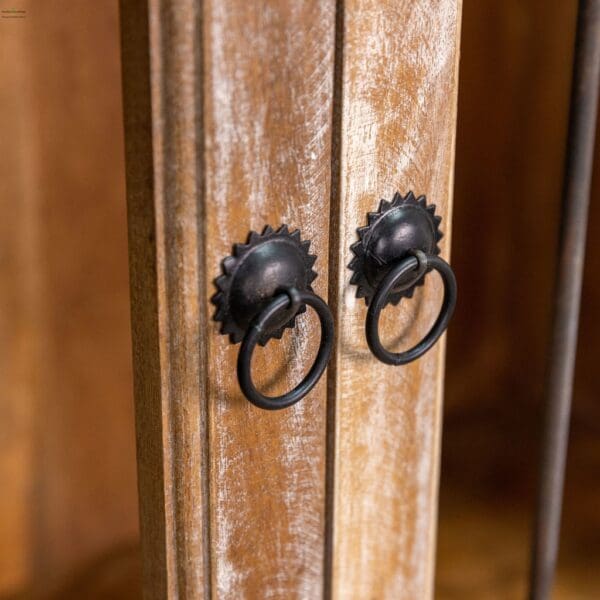 A close up of the handles on a door.