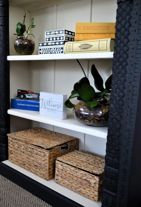 A shelf with some boxes and plants on it