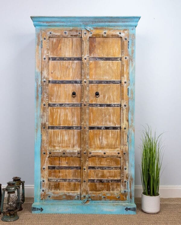 A blue cabinet with two doors and a plant in the corner.