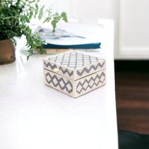 A white table with a plant and two boxes on it