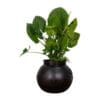 Large Round Metal Planter 58 inches Around - Image 2