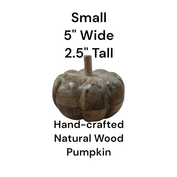 small pumpkin showing size 5" wide 2.5" tall